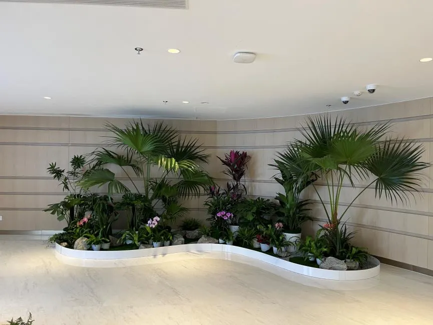 宁波盆景出租设计